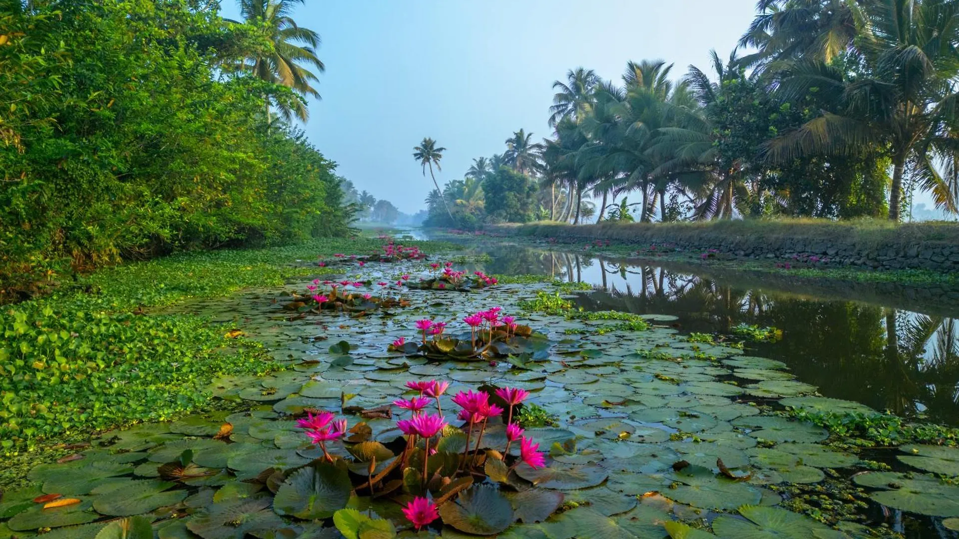Villa Ama Stays & Trails Lily Pad, Kumarakom Kottayam